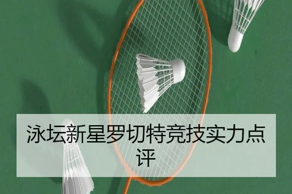泳坛新星罗切特竞技实力点评 | ayxsports